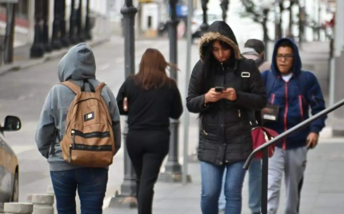 WhatsApp Image 2024-10-12 at 17.20.33