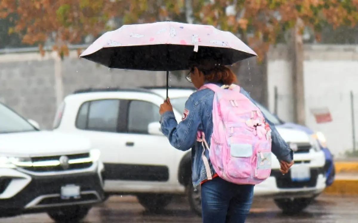 Captura de Pantalla 2024-05-17 a la(s) 12.12.37