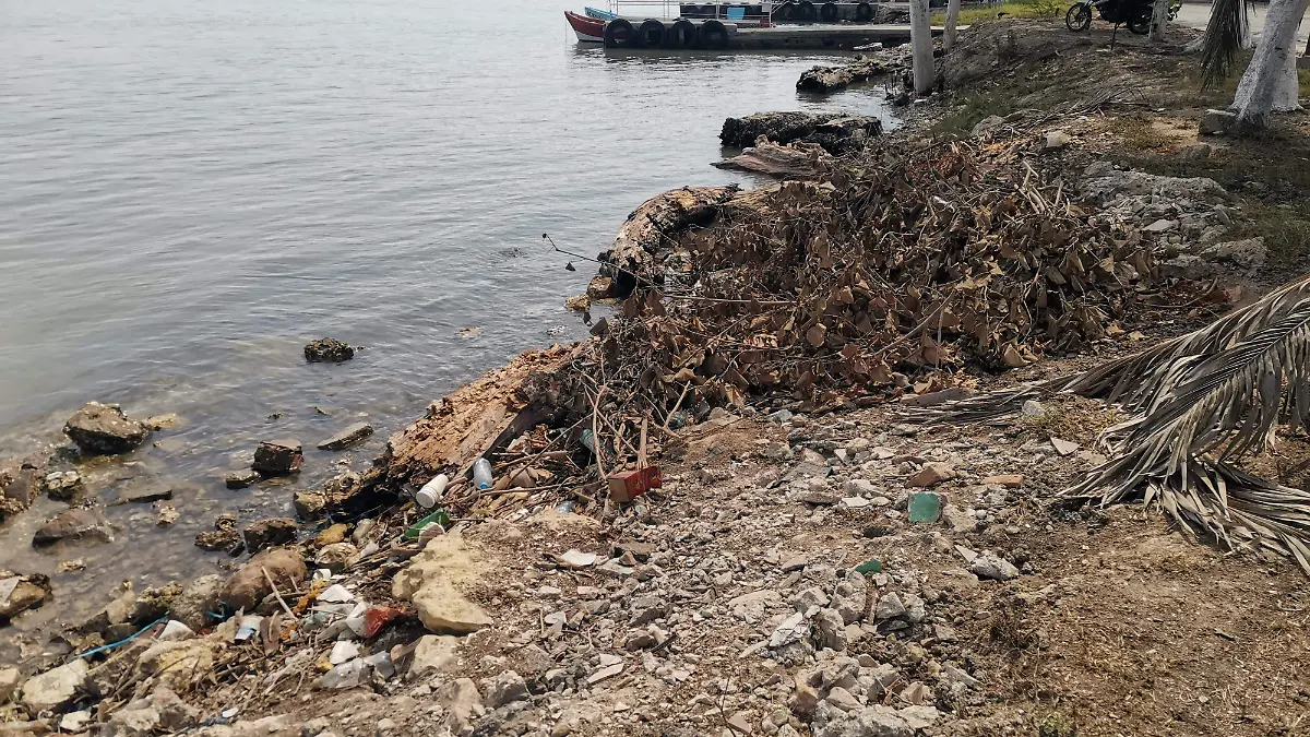 Río Pánuco: por este preocupante motivo se está conviertiendo en un basurero