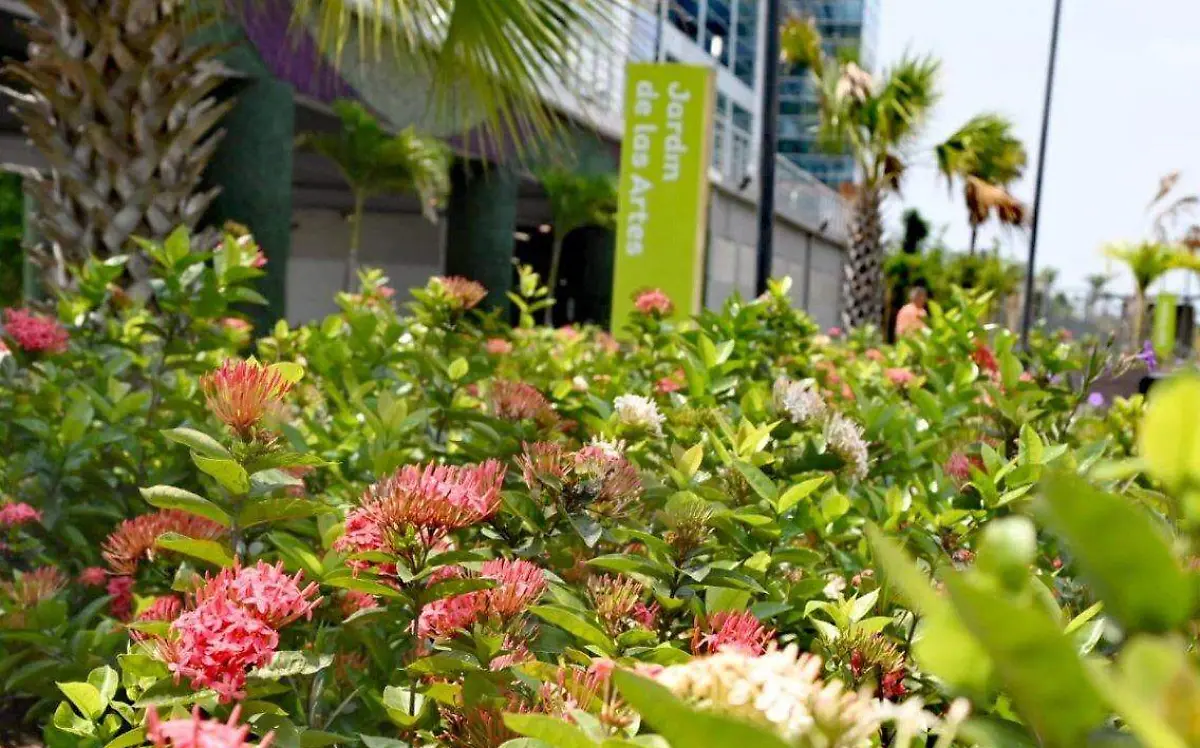 El Jardín de las Artes se ubica frente al Espacio Cultural Metropolitano Alejandro del Ángel