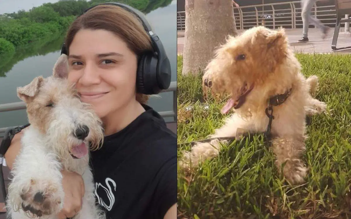 La dueña de Asher confía en reencontrarse con su mascota Facebook