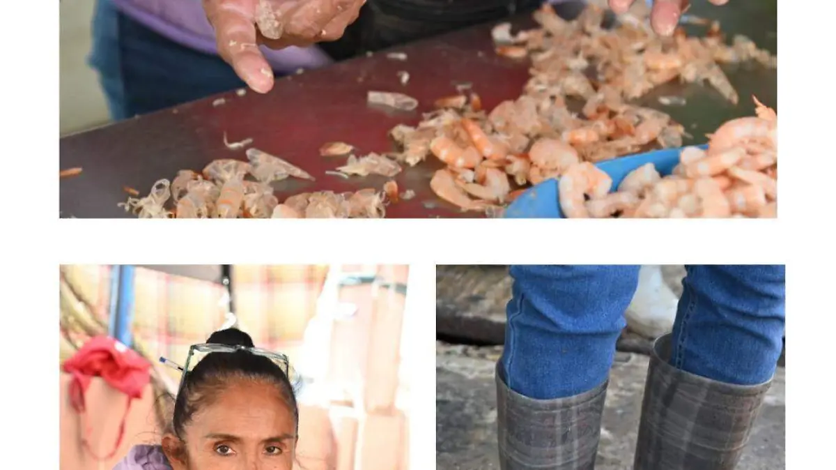 Ana María, despicadora con sueldo de 200 pesos diarios