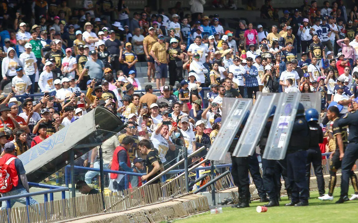 Ser fan de un artista, un equipo de futbol o celebridad no es malo, sin embargo, para todo hay límites Cuartoscuro