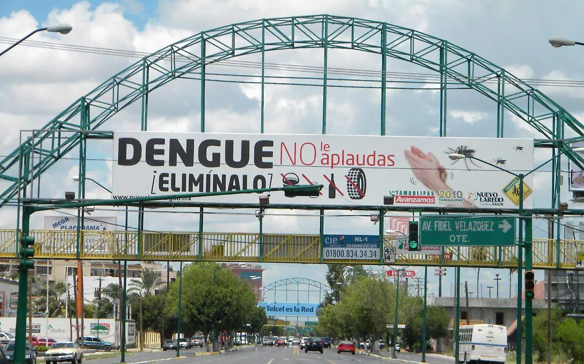 El dengue cobró auge en nuestra región en la década de los años 90