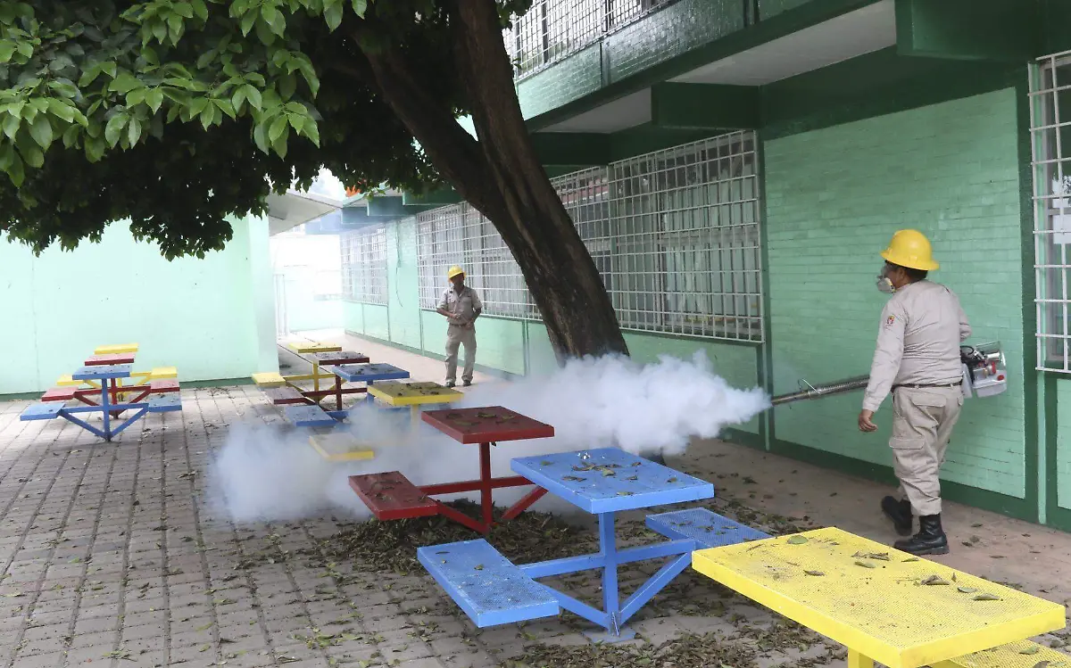 Antes del Covid-19 ya se realizaban fumigaciones para erradicar al mosco transmisor del dengue