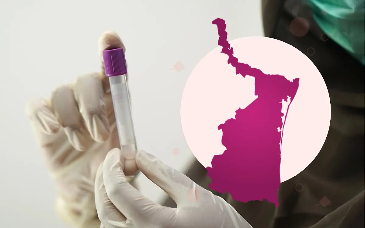 El brote de meningitis en Tamaulipas mantiene en alerta a las autoridades de la Ssa Pixabay e INE, edición El Sol de Tampico