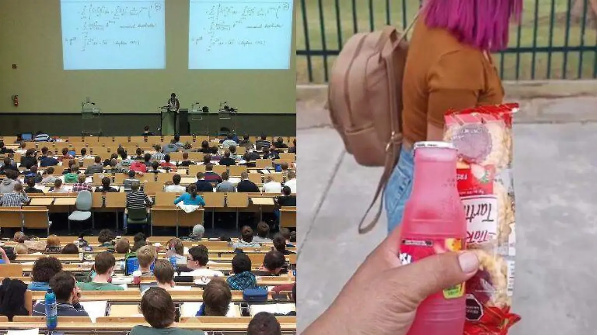 En su primer día en la universidad, su papá le lleva el lonche y la historia se vuelve viral Pixabay y TikTok @