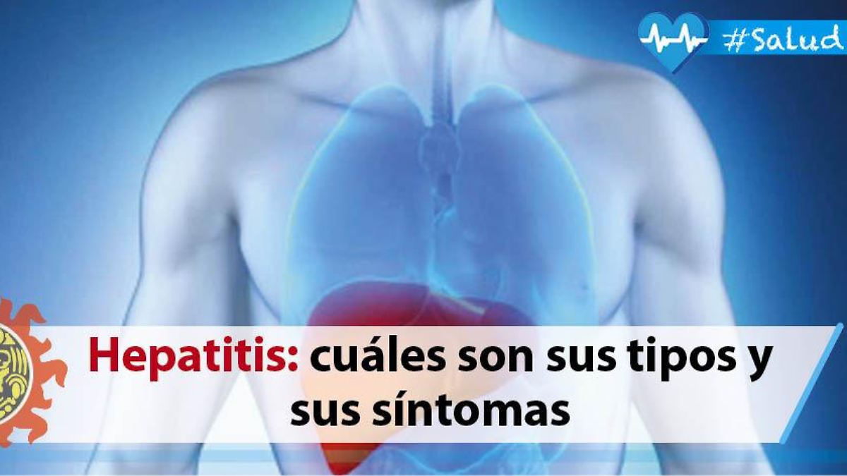 Hepatitis: cuáles son sus tipos y sus síntomas - El Sol de Tampico