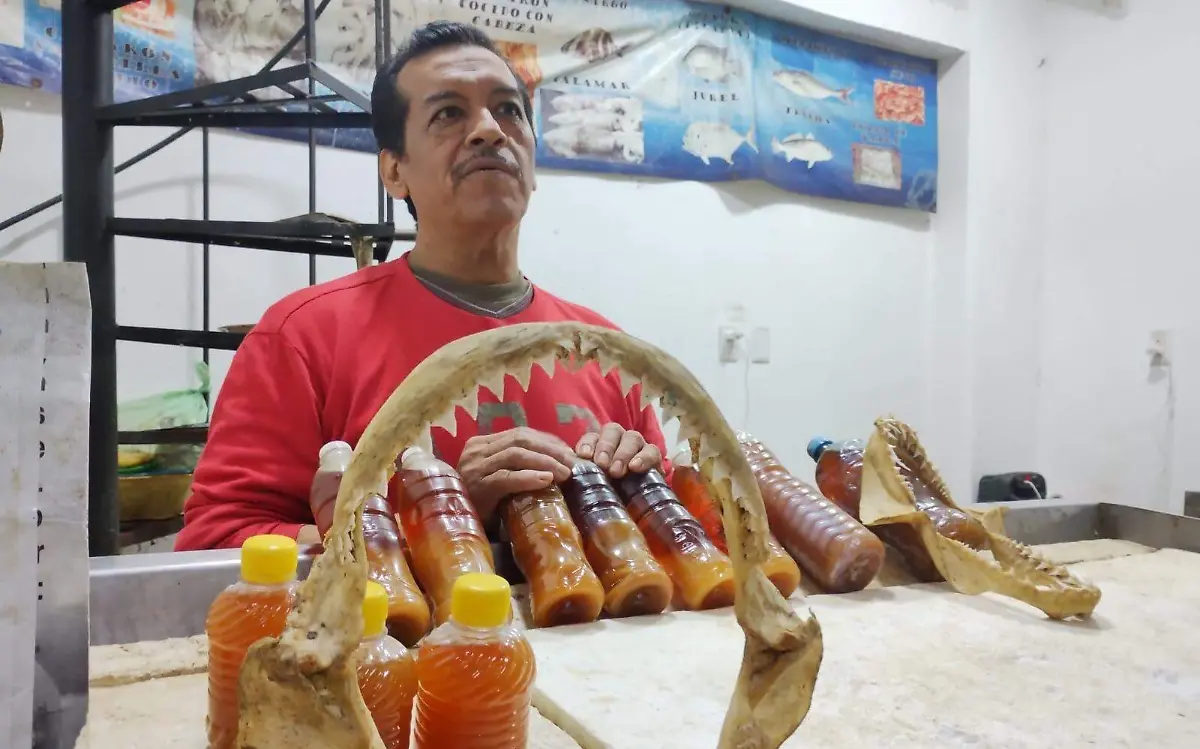 Buscan aceite de hígado de tiburón para prevenir Covid-19