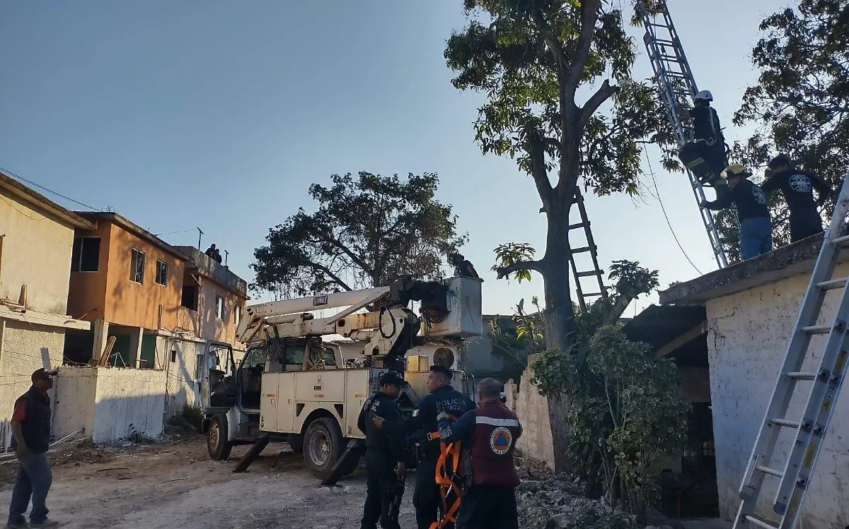 Realizan trabajos para bajar a un hombre desde lo alto de un árbol Mario Cruces (1)