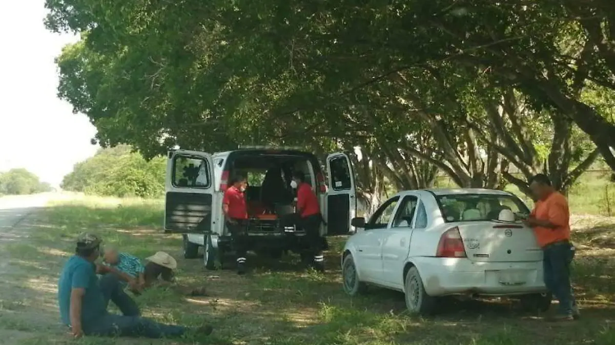 WhatsApp Image 2020-07-14 at 17.55.52