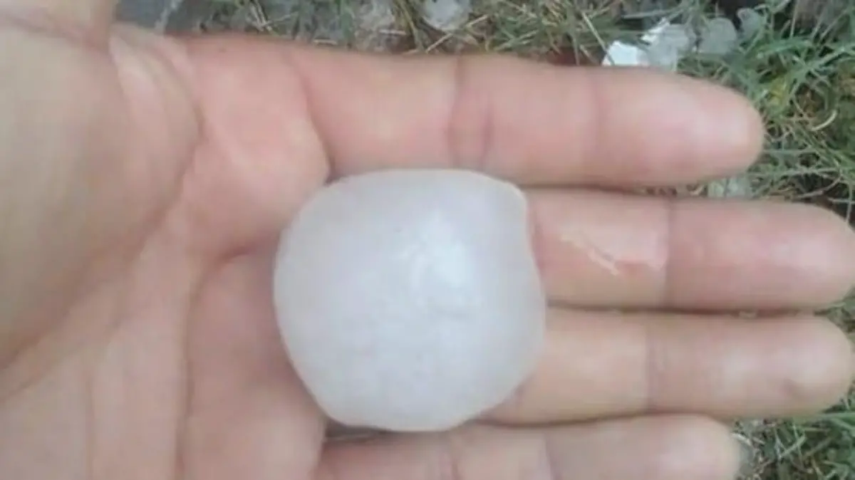 Captura de pantalla 2019-05-14 a las 4.26.28 p.m.