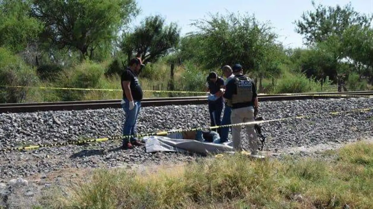 WhatsApp Image 2018-08-26 at 11.55.25