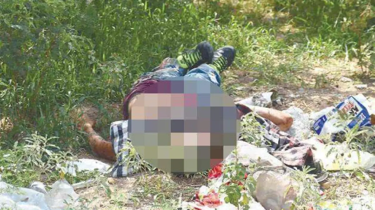 Image 2019-05-25 at 10.10.47