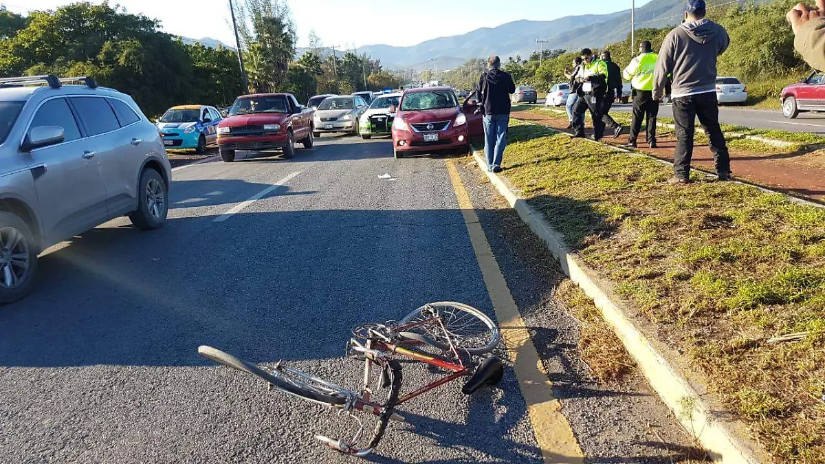 WhatsApp Image 2018-11-30 at 10.05.42