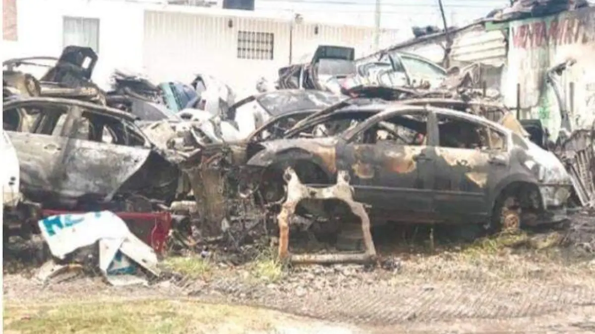 WhatsApp Image 2020-06-12 at 11.38.33 (1)