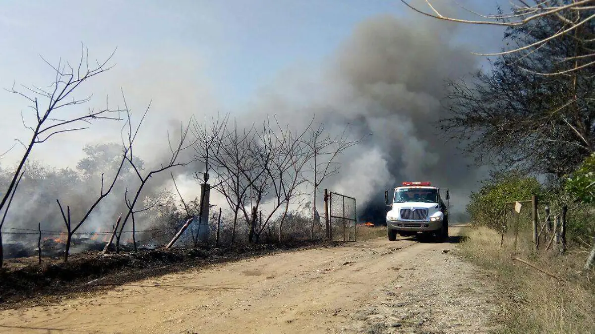 Incendio de un predio baldío