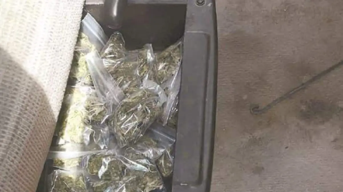 Image 2019-06-07 at 10.53.42