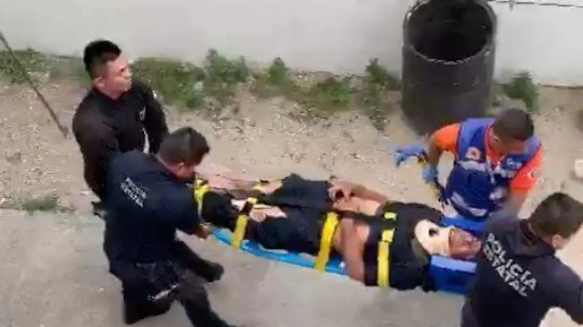 WhatsApp Image 2019-02-24 at 19.33.18