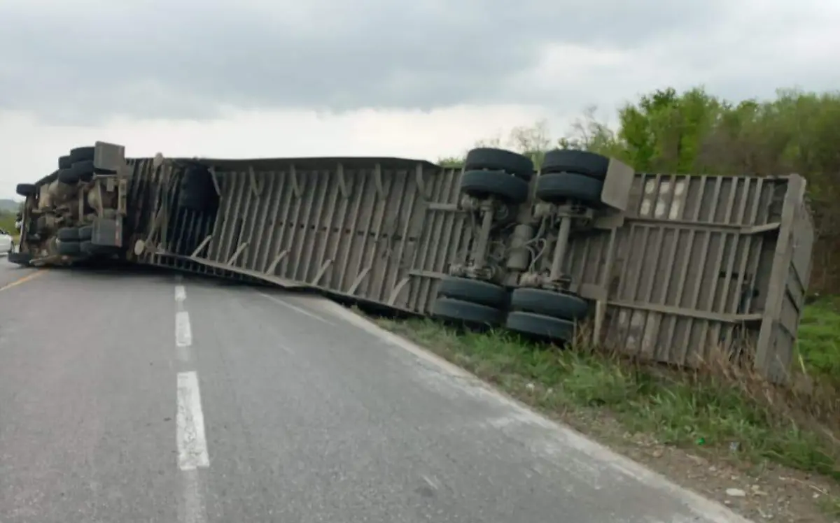 WhatsApp Image 2023-04-23 at 5.12.29 PM (1)