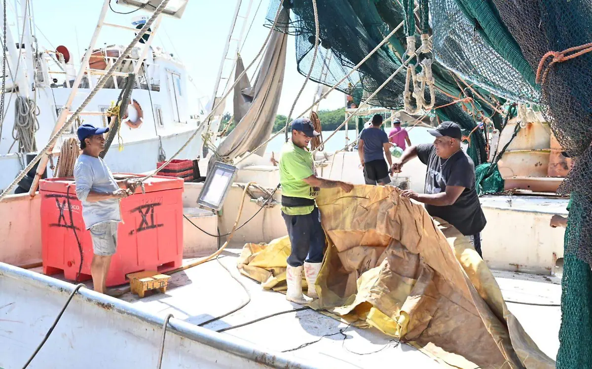 Pescadores del sur de Tamaulipas desamparados ante veda de camarón