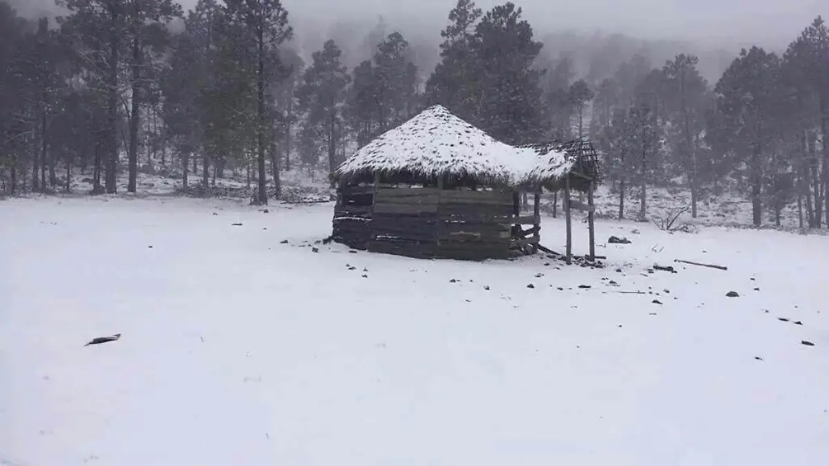 NEVADAS EN 3