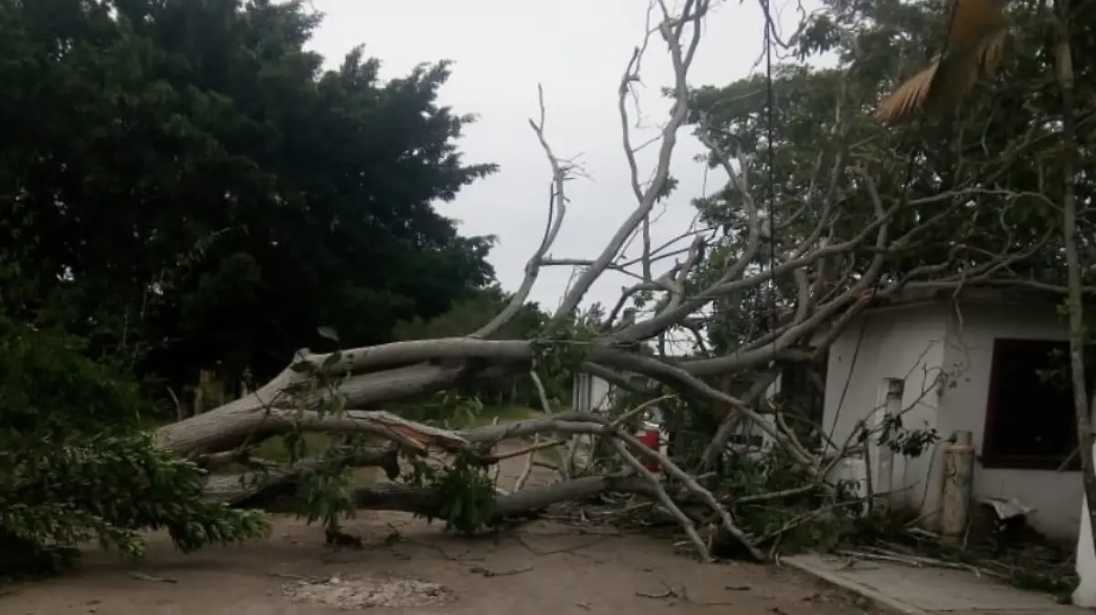 Captura de Pantalla 2020-02-26 a la(s) 12.58.40