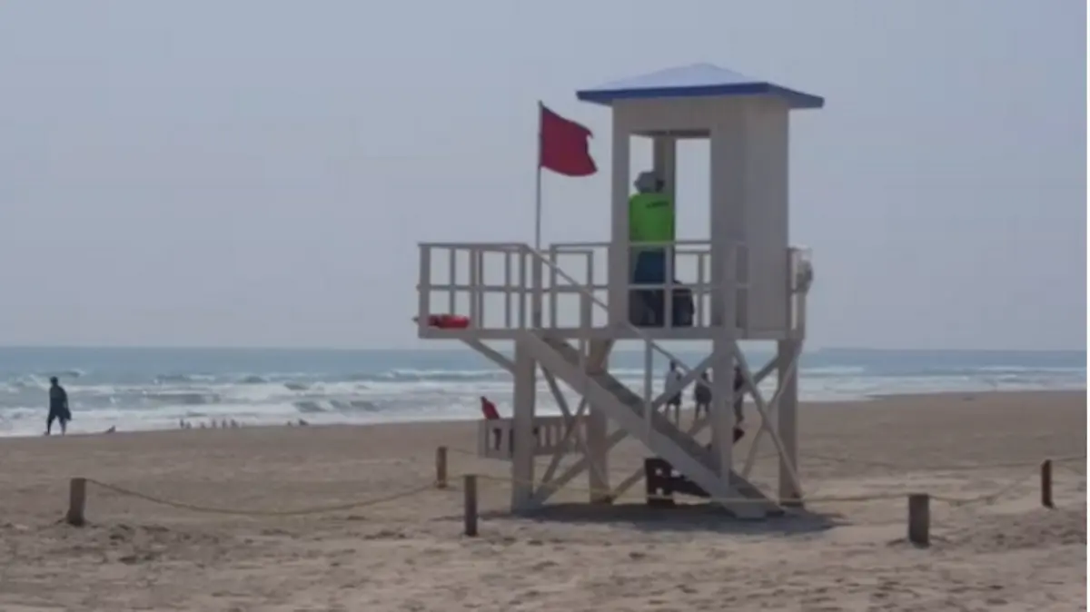 Captura de pantalla 2019-04-11 a las 5.47.05 p.m.