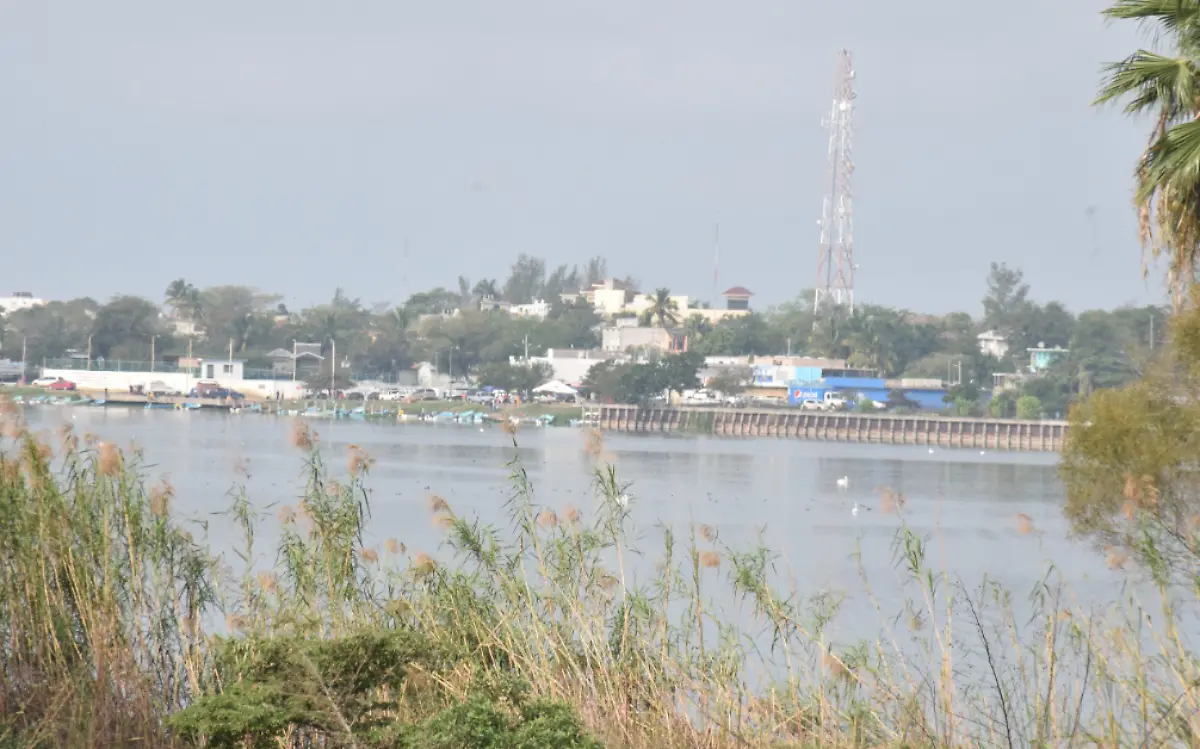 Captura de pantalla 2021-01-22 a las 9.25.44 p.m.