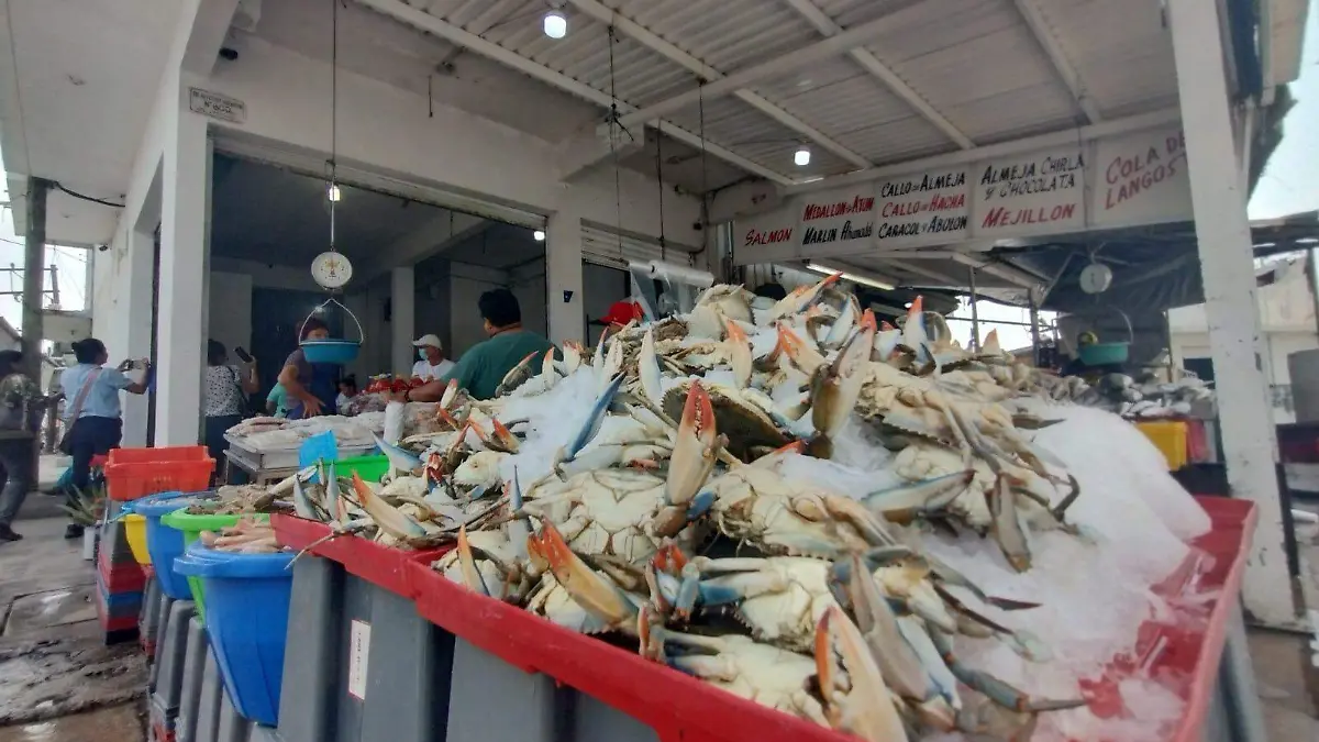 Jaiba escasea en puerto de Tampico