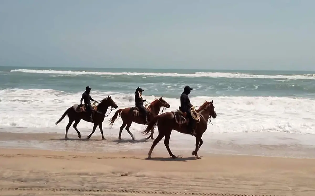 Vigilará la policía montada en el sector norte de la playa Miramar SSP (1)