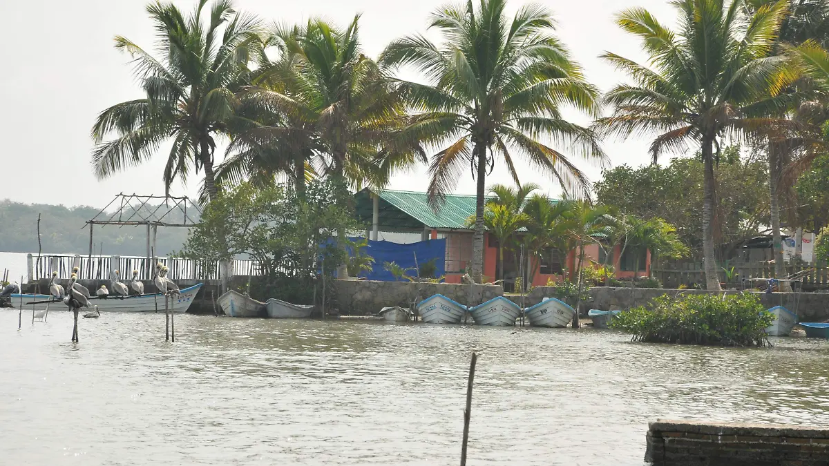 6-3 AMS.La designación