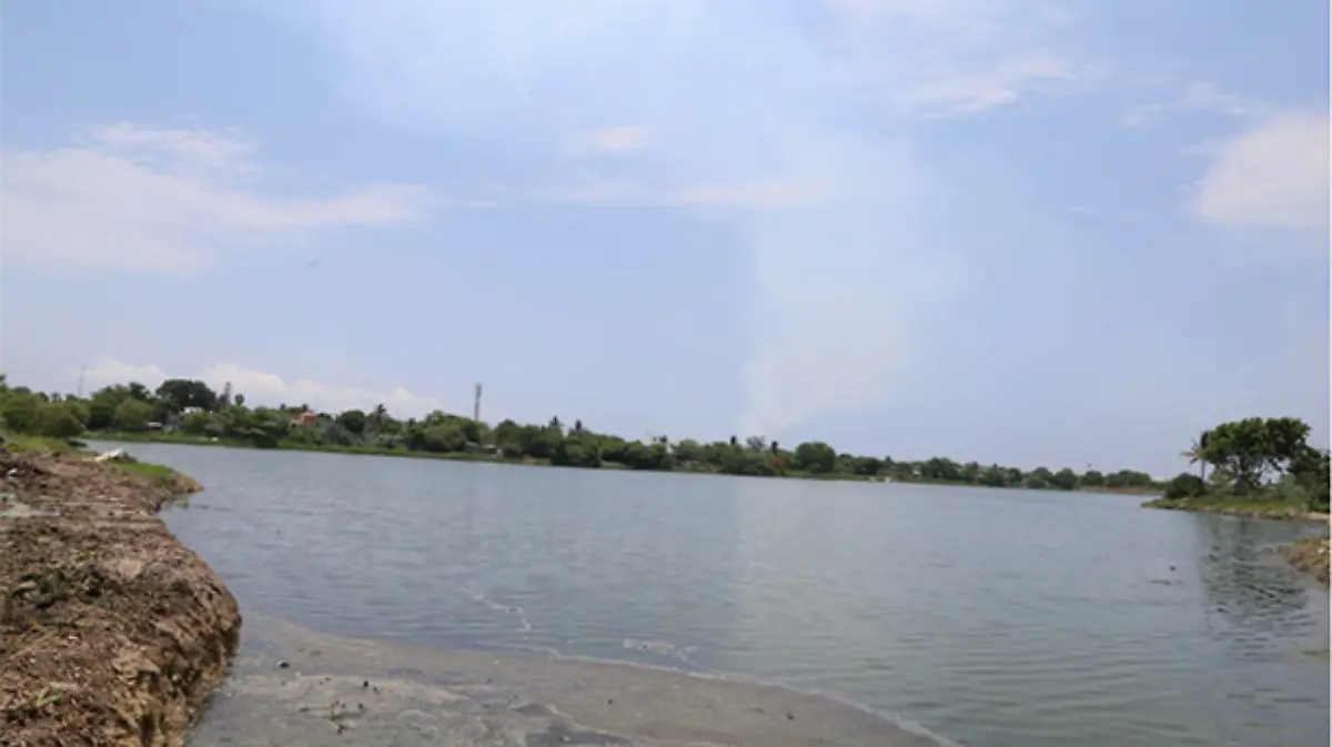 Captura de pantalla 2019-07-13 a las 4.01.44 p.m.