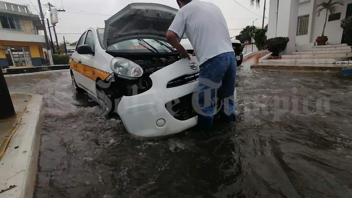 WhatsApp Image 2020-07-27 at 13.03.14