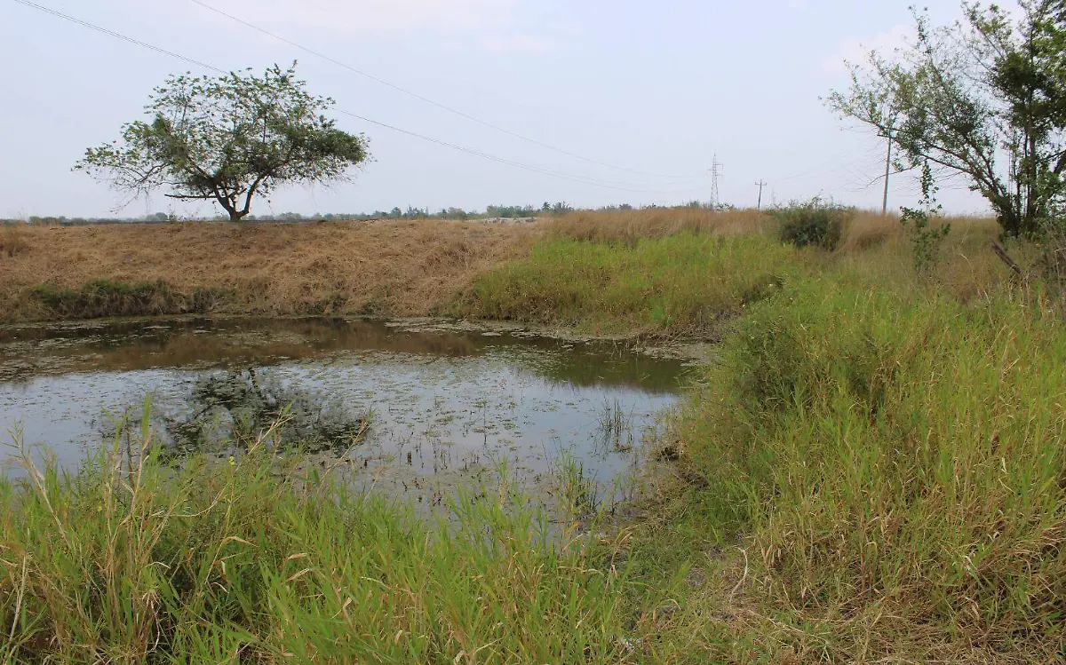 De 250 ollas de almacenamiento de agua lluvia, 175 se secan 
