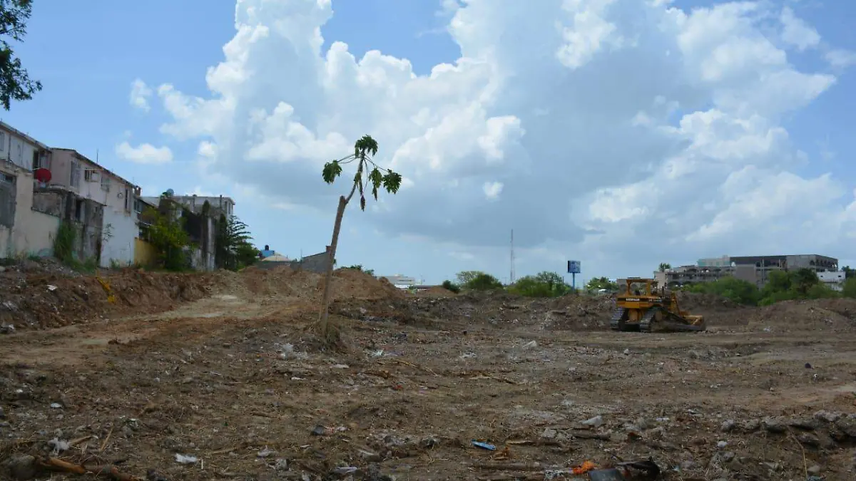 WhatsApp Image 2018-07-07 at 15.09.01