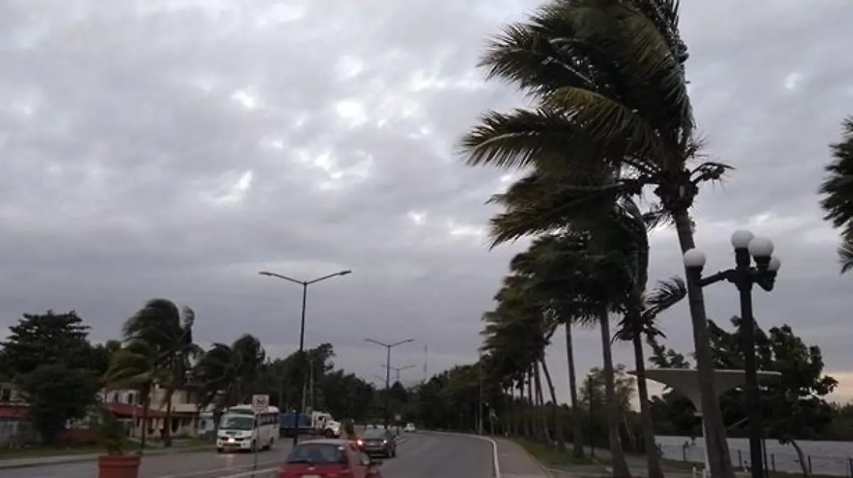 WhatsApp Image 2017-10-28 at 9.42