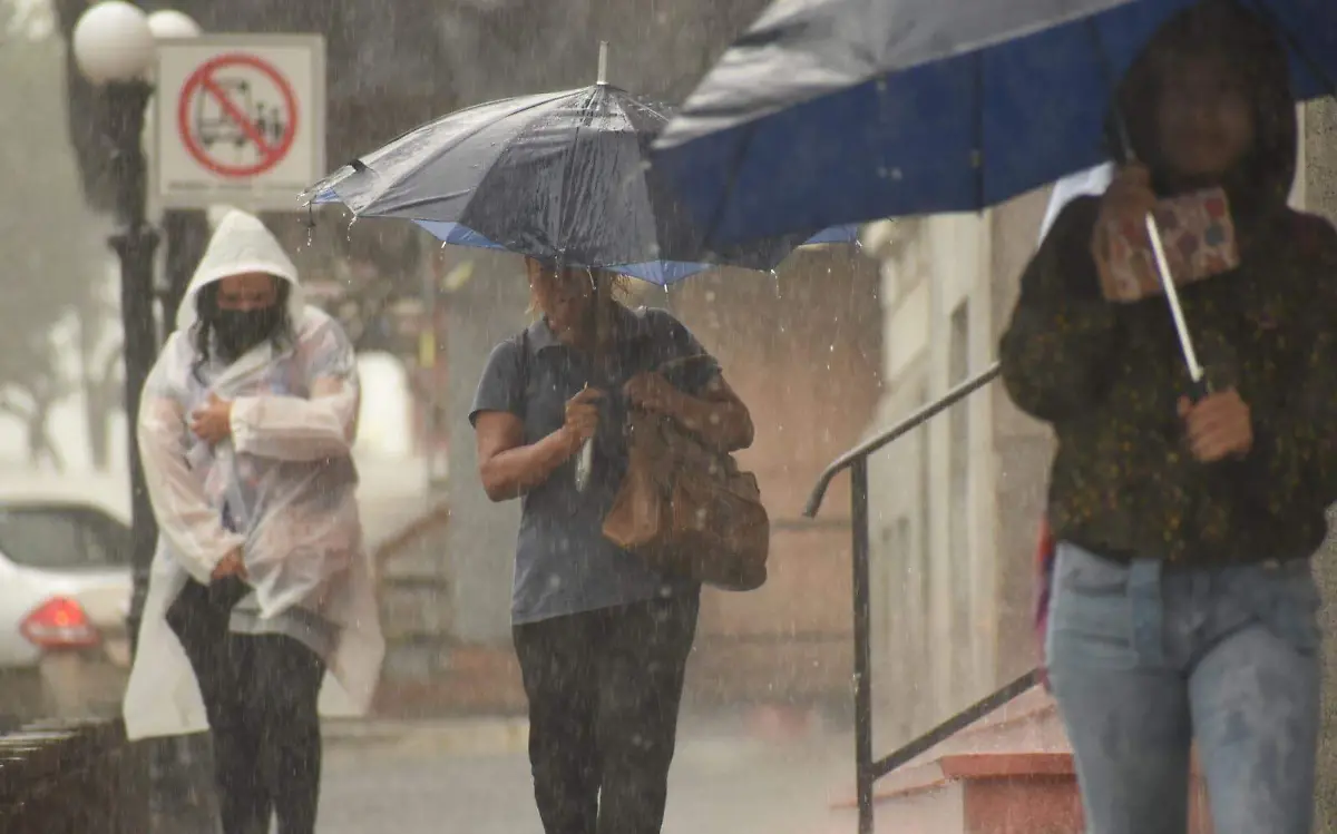 CLIMA TAMPICO FRÍO