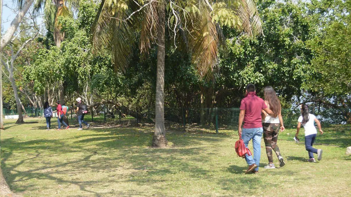 WhatsApp Image 2019-02-18 at 10.21.13