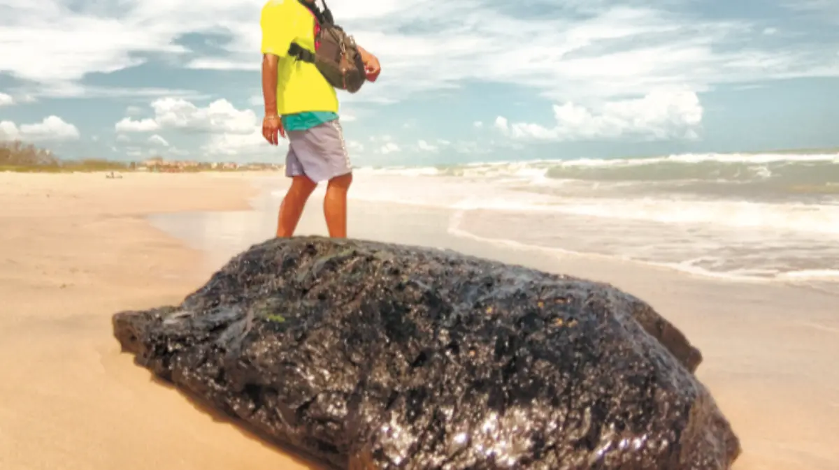 Captura de Pantalla 2019-12-27 a la(s) 21.30.34