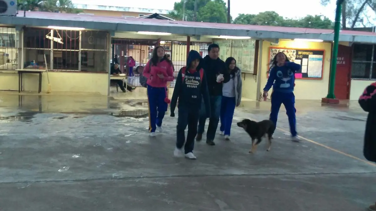 WhatsApp Image 2018-01-17 at 12.21