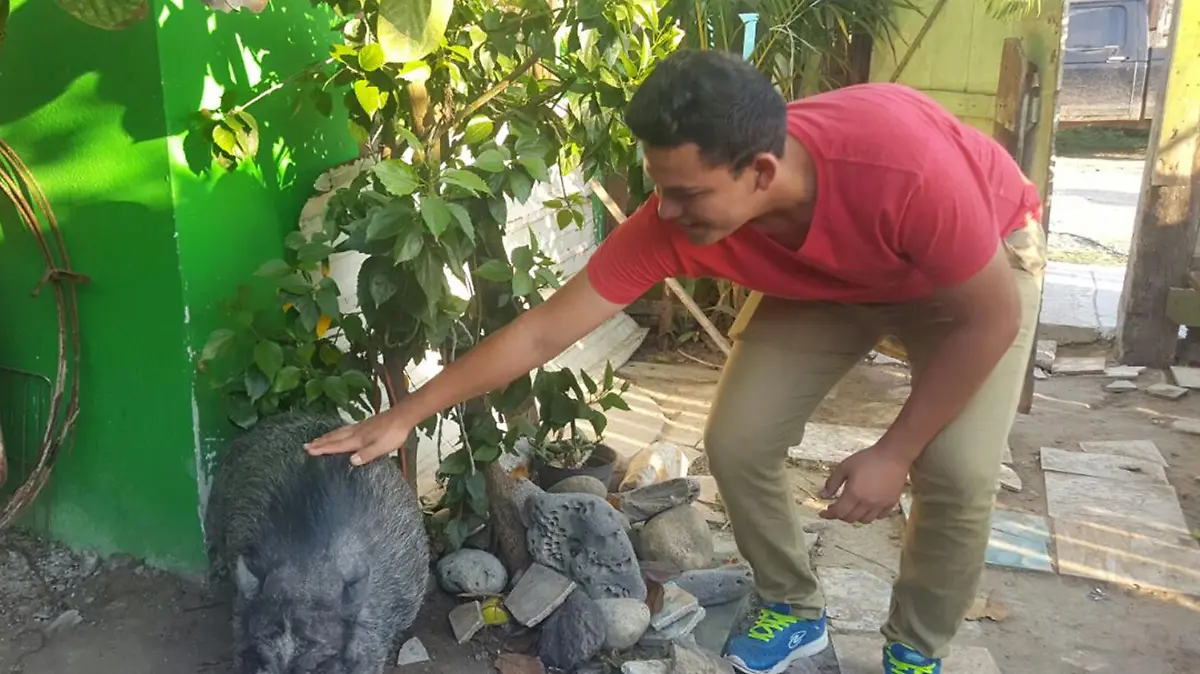 Image 2017-03-26 at 13.40