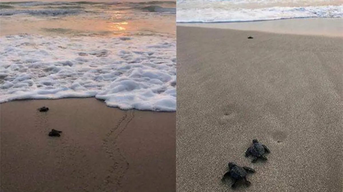 Image 2020-06-11 at 16.34.56