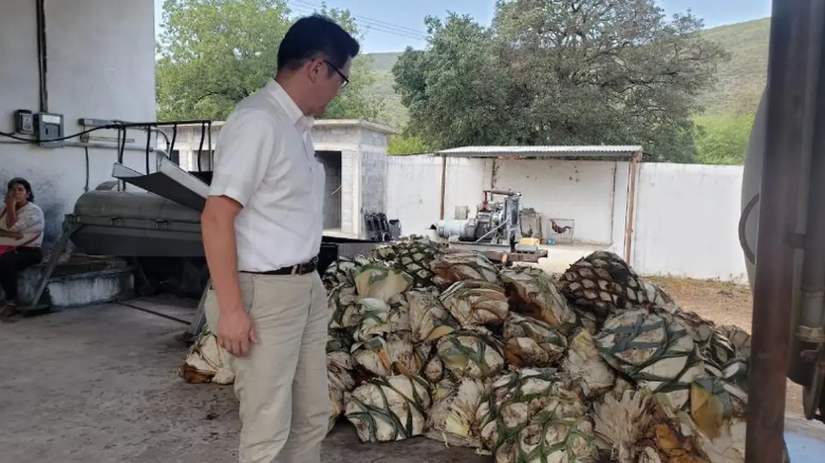 Captura de Pantalla 2019-09-11 a la(s) 19.11.33