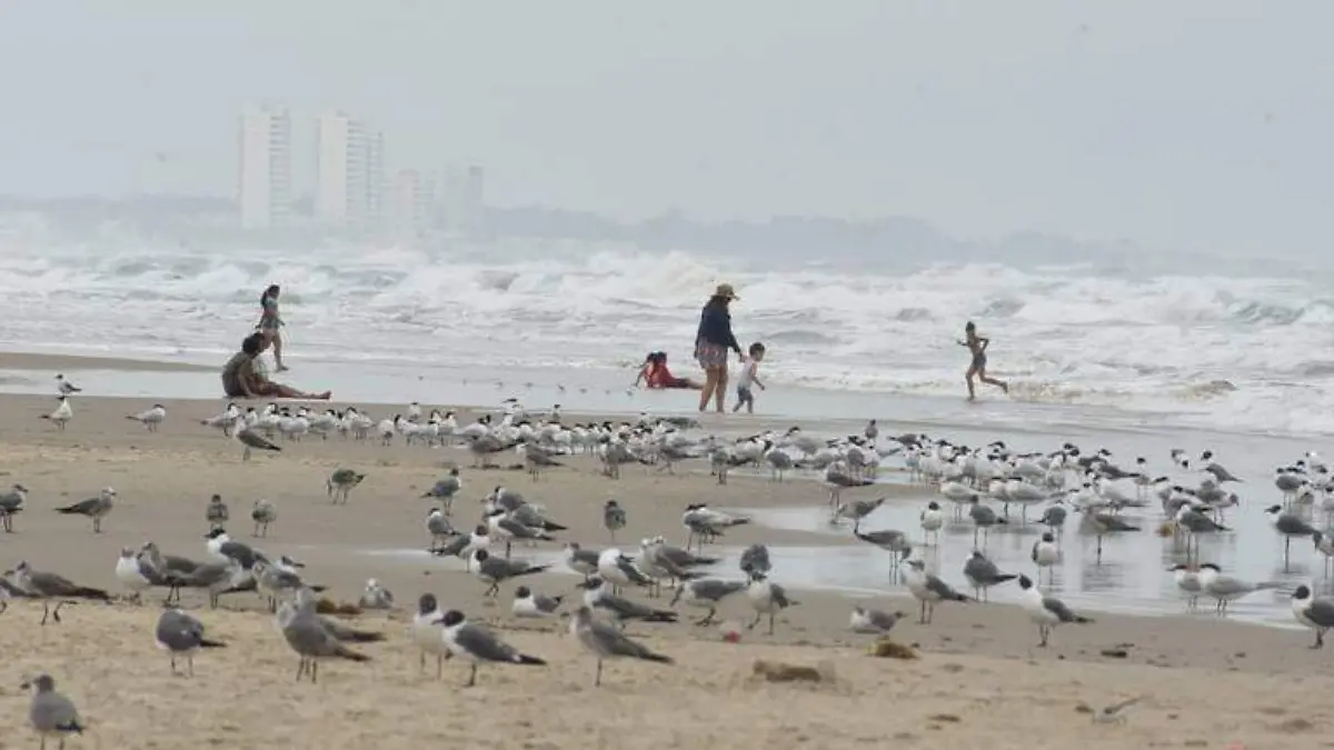 Fin de semana con altas temperaturas el pronóstico para Tampico y Madero 