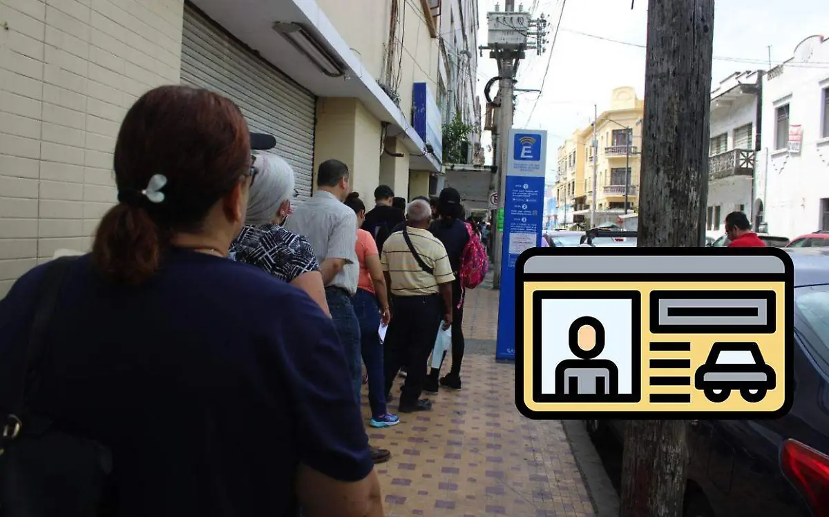 LICENCIA DE CONDUCIR