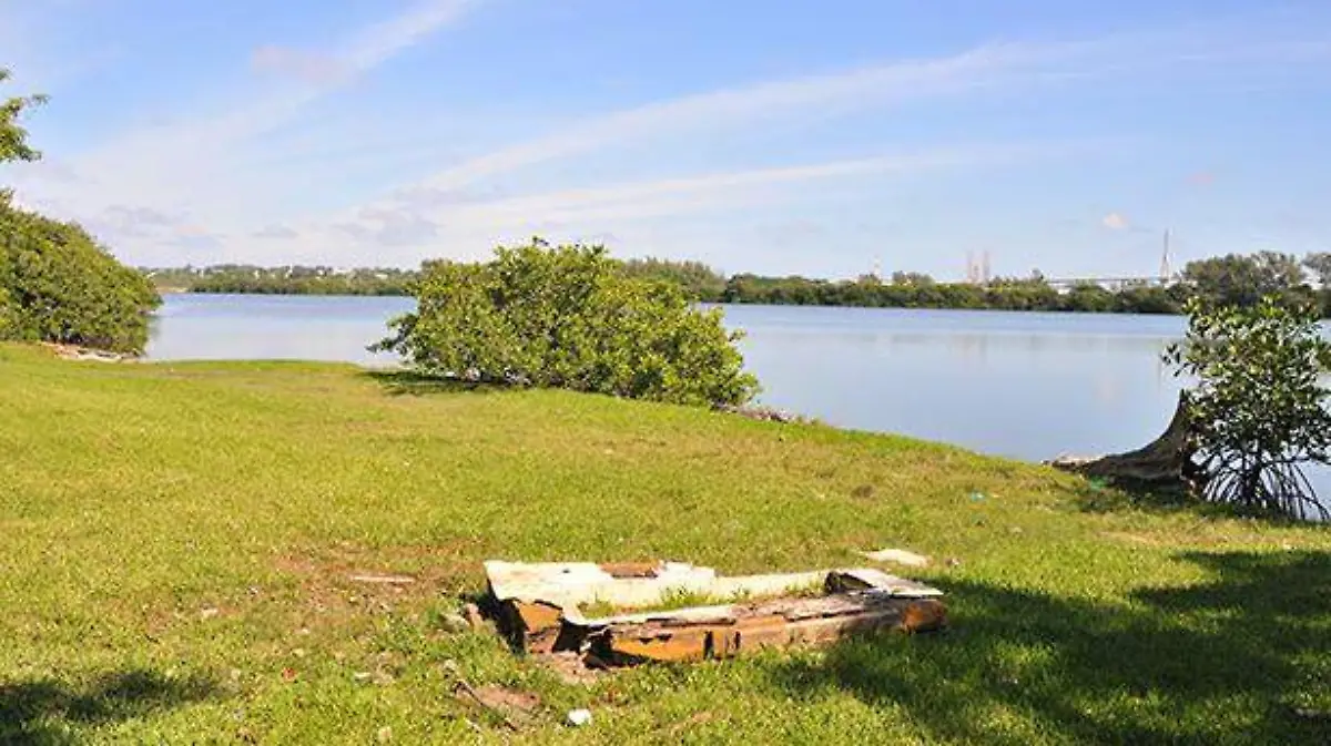 veaeste