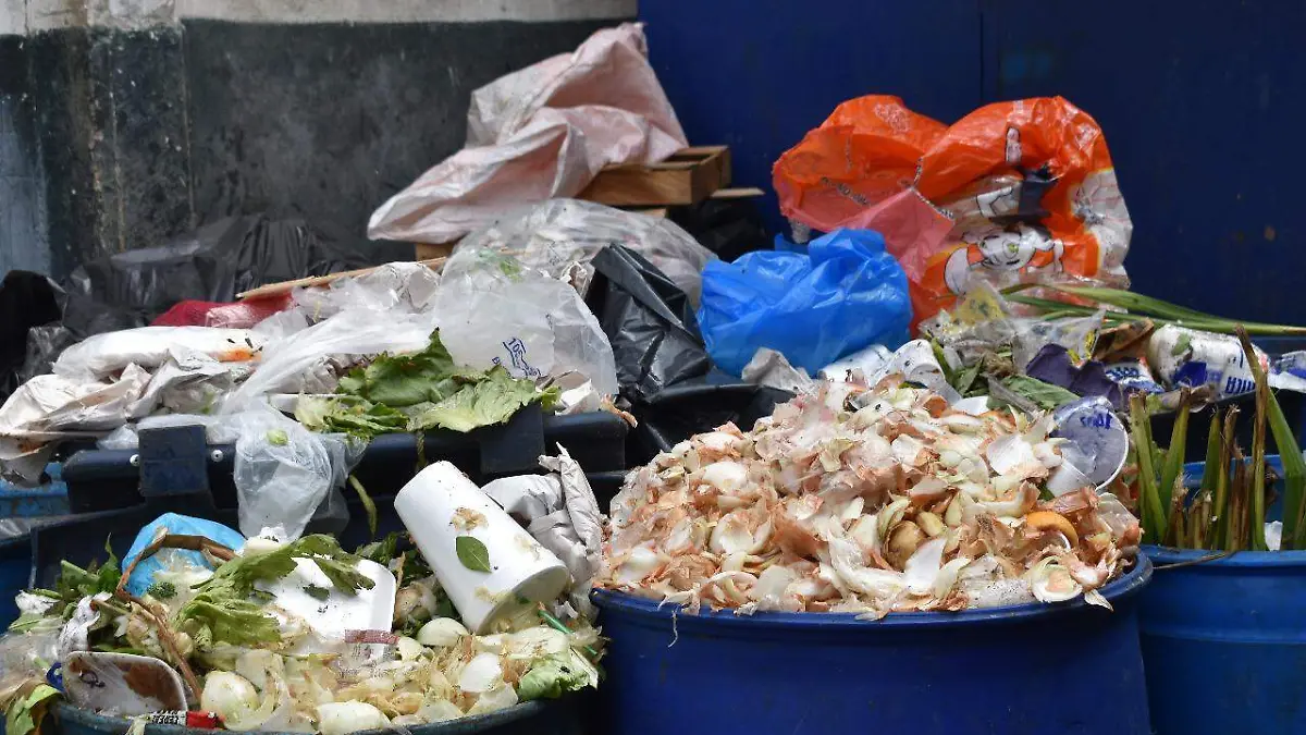 WhatsApp Image 2020-02-24 at 15.04.08