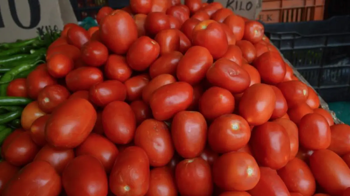 Captura de pantalla 2019-05-20 a la(s) 10.11.52