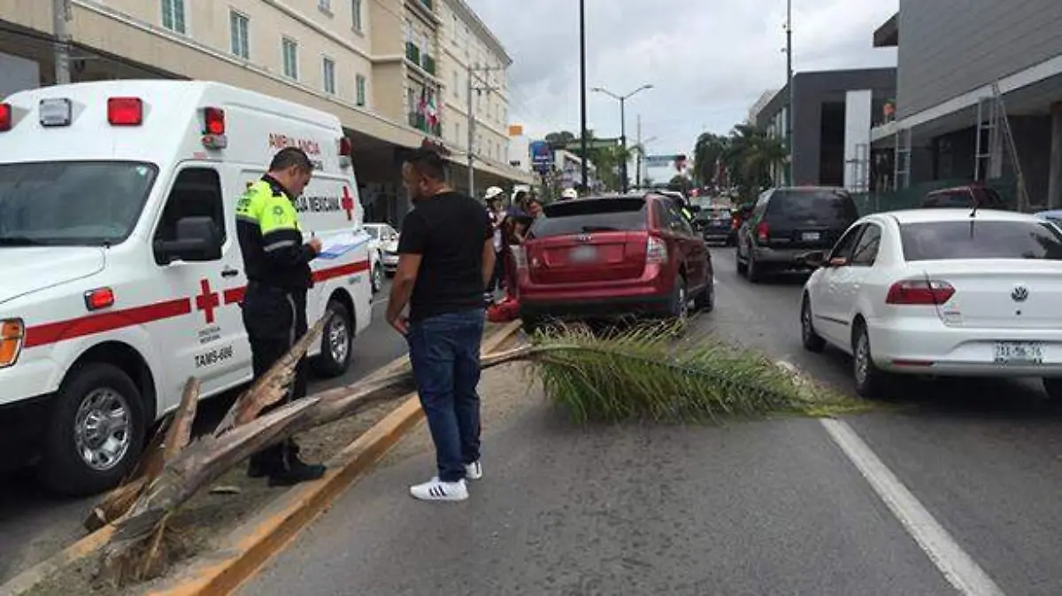 afccc3f1-a02e-4957-89e8-1c931ffde0b4